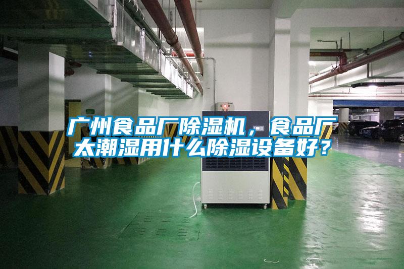 廣州食品廠除濕機(jī)，食品廠太潮濕用什么除濕設(shè)備好？