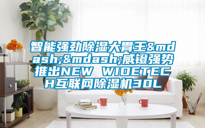 智能強(qiáng)勁除濕大胃王——威鐙強(qiáng)勢(shì)推出NEW WIDETECH互聯(lián)網(wǎng)除濕機(jī)30L