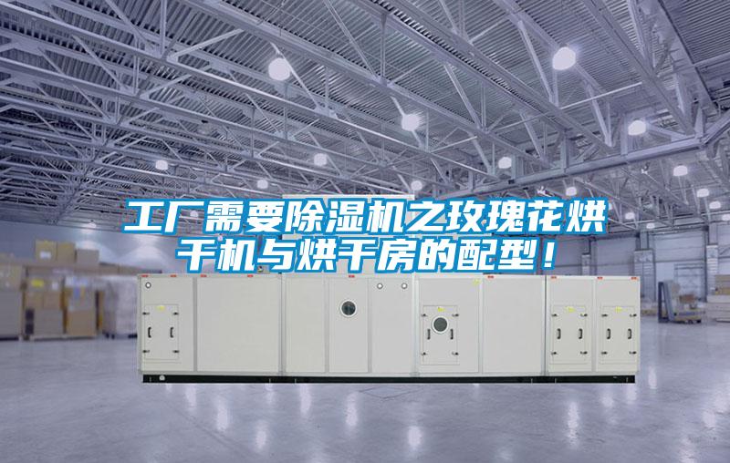 工廠需要除濕機之玫瑰花烘干機與烘干房的配型！