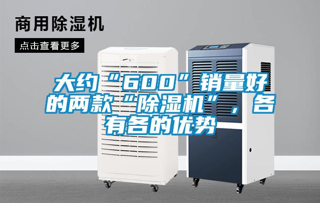 大約“600”銷(xiāo)量好的兩款“除濕機(jī)”，各有各的優(yōu)勢(shì)