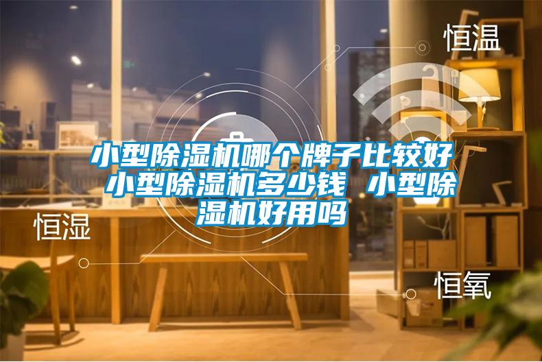 小型除濕機(jī)哪個牌子比較好 小型除濕機(jī)多少錢 小型除濕機(jī)好用嗎