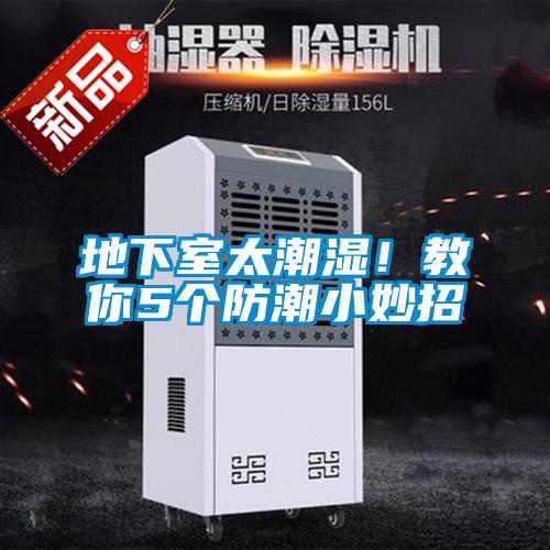地下室太潮濕！教你5個防潮小妙招