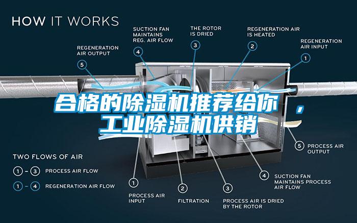 合格的除濕機(jī)推薦給你 ，工業(yè)除濕機(jī)供銷