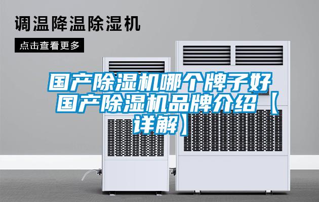 國產(chǎn)除濕機(jī)哪個牌子好 國產(chǎn)除濕機(jī)品牌介紹【詳解】