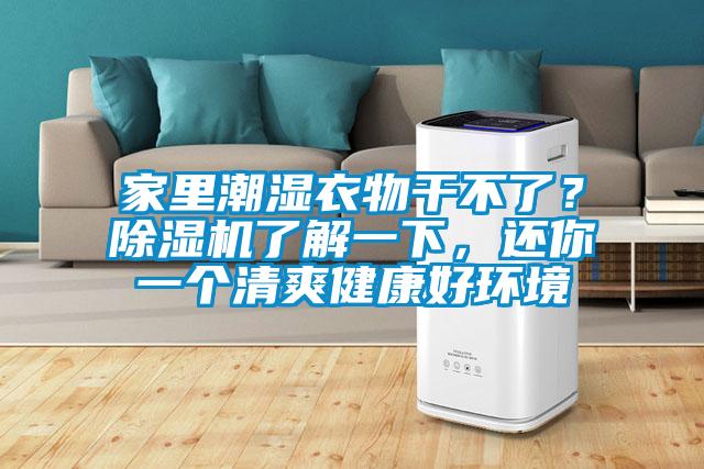 家里潮濕衣物干不了？除濕機(jī)了解一下，還你一個清爽健康好環(huán)境