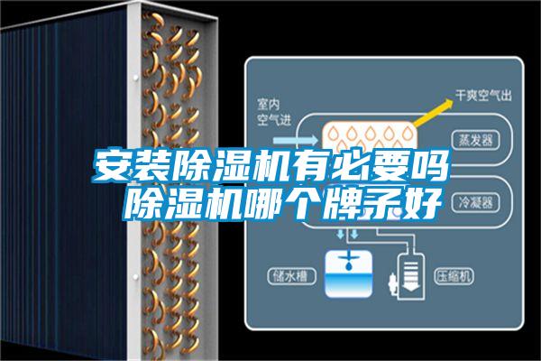 安裝除濕機(jī)有必要嗎 除濕機(jī)哪個牌子好