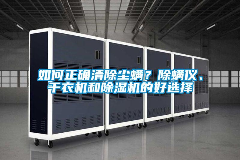 如何正確清除塵螨？除螨儀、干衣機(jī)和除濕機(jī)的好選擇