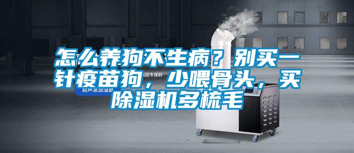 怎么養(yǎng)狗不生??？別買一針疫苗狗，少喂骨頭，買除濕機(jī)多梳毛