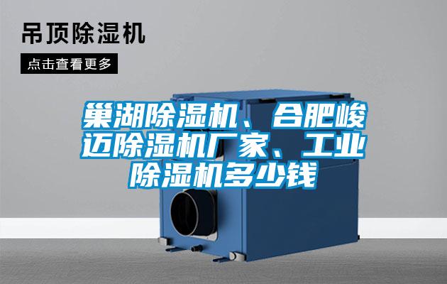 巢湖除濕機(jī)、合肥峻邁除濕機(jī)廠家、工業(yè)除濕機(jī)多少錢