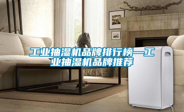 工業(yè)抽濕機品牌排行榜—工業(yè)抽濕機品牌推薦
