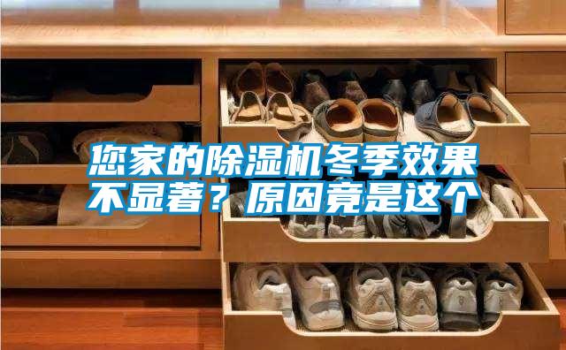 您家的除濕機冬季效果不顯著？原因竟是這個