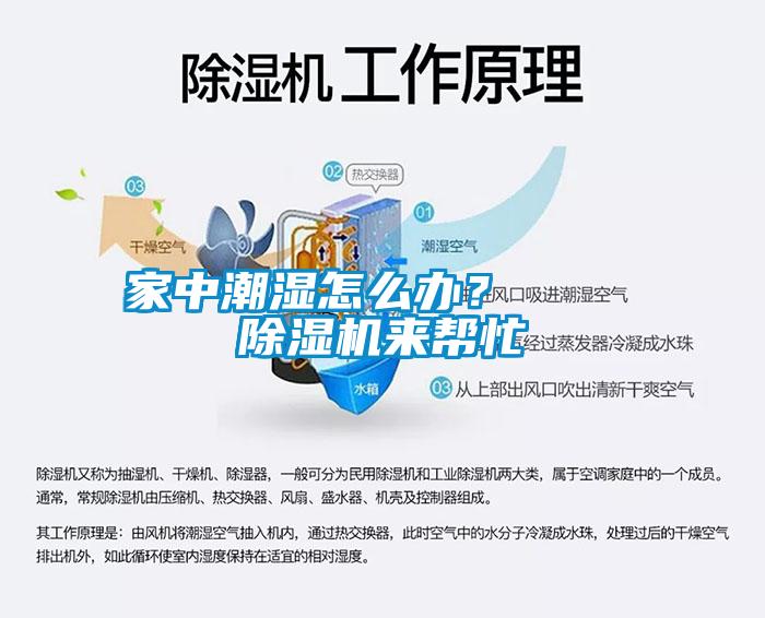 家中潮濕怎么辦？    除濕機(jī)來幫忙