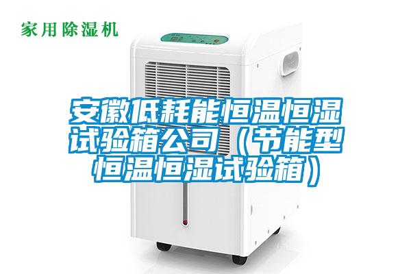 安徽低耗能恒溫恒濕試驗(yàn)箱公司（節(jié)能型恒溫恒濕試驗(yàn)箱）
