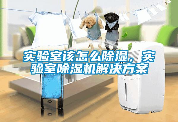 實(shí)驗(yàn)室該怎么除濕，實(shí)驗(yàn)室除濕機(jī)解決方案
