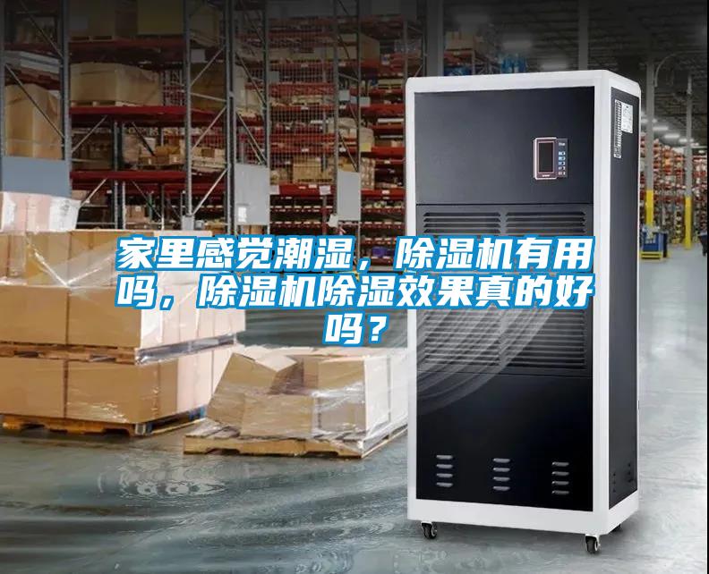 家里感覺潮濕，除濕機有用嗎，除濕機除濕效果真的好嗎？