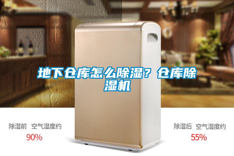 地下倉庫怎么除濕？倉庫除濕機(jī)