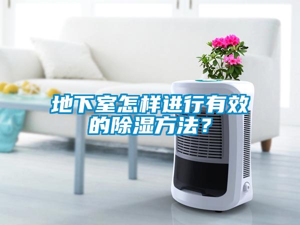 地下室怎樣進行有效的除濕方法？