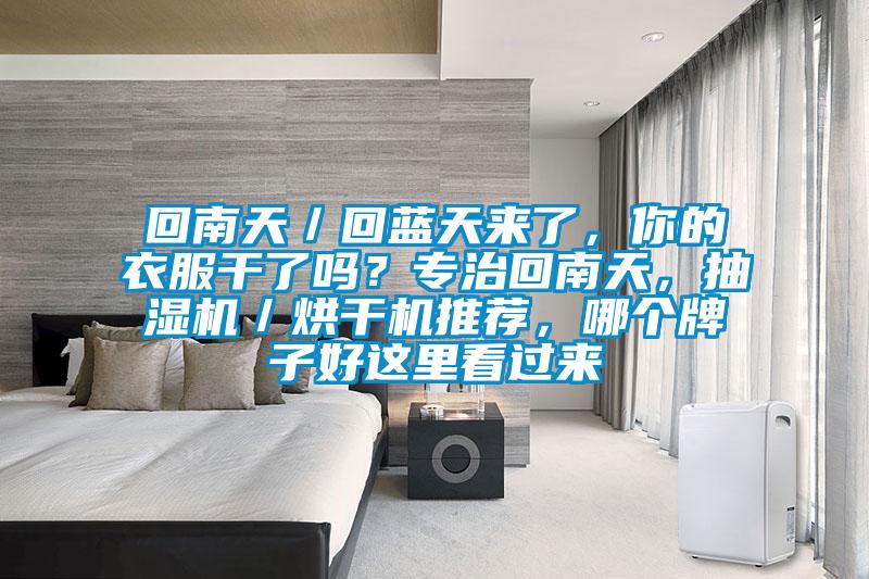 回南天／回藍(lán)天來了，你的衣服干了嗎？專治回南天，抽濕機(jī)／烘干機(jī)推薦，哪個牌子好這里看過來
