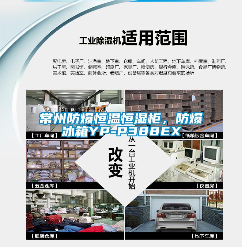 常州防爆恒溫恒濕柜，防爆冰箱YP-P388EX