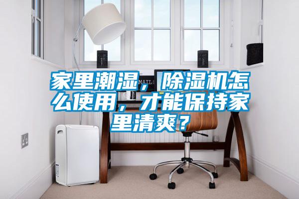 家里潮濕，除濕機(jī)怎么使用，才能保持家里清爽？