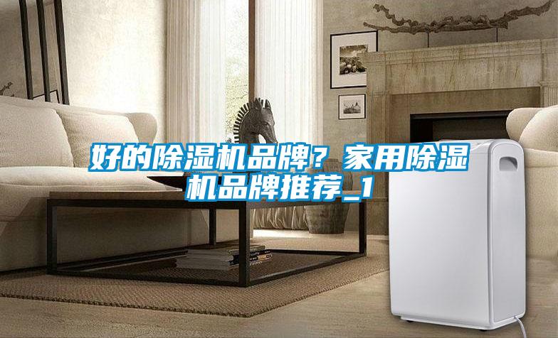 好的除濕機(jī)品牌？家用除濕機(jī)品牌推薦_1