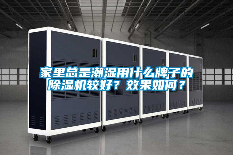 家里總是潮濕用什么牌子的除濕機較好？效果如何？