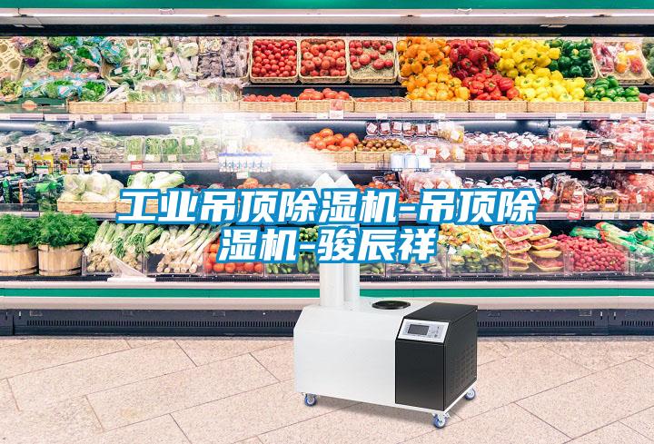 工業(yè)吊頂除濕機(jī)-吊頂除濕機(jī)-駿辰祥