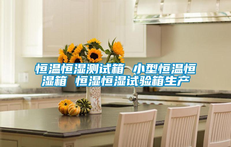 恒溫恒濕測試箱 小型恒溫恒濕箱 恒濕恒濕試驗箱生產(chǎn)