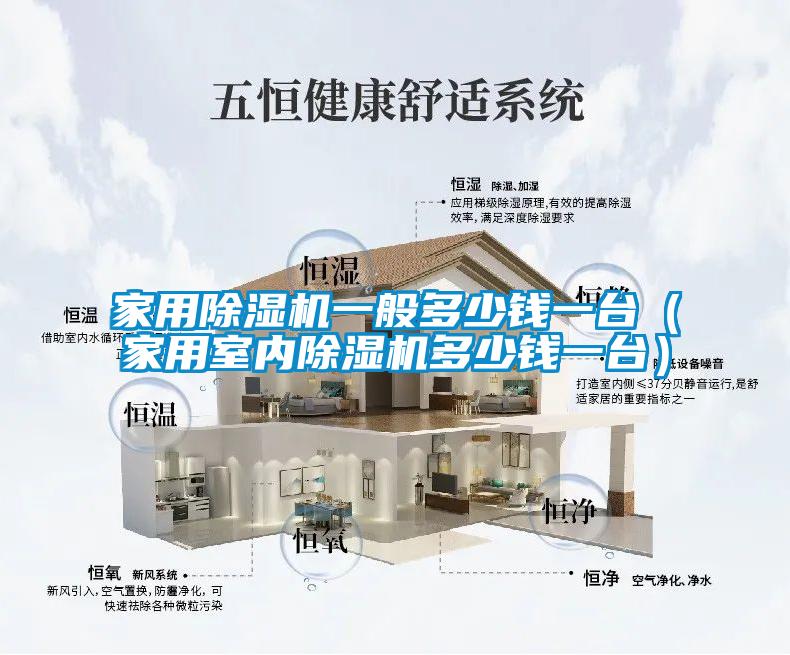 家用除濕機(jī)一般多少錢一臺（家用室內(nèi)除濕機(jī)多少錢一臺）