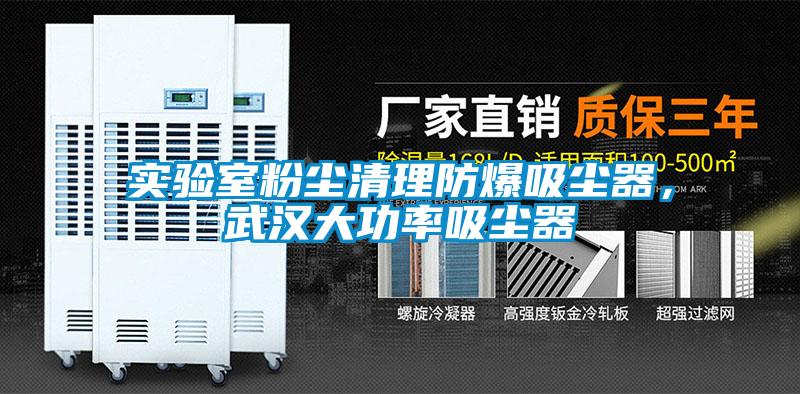 實(shí)驗(yàn)室粉塵清理防爆吸塵器，武漢大功率吸塵器