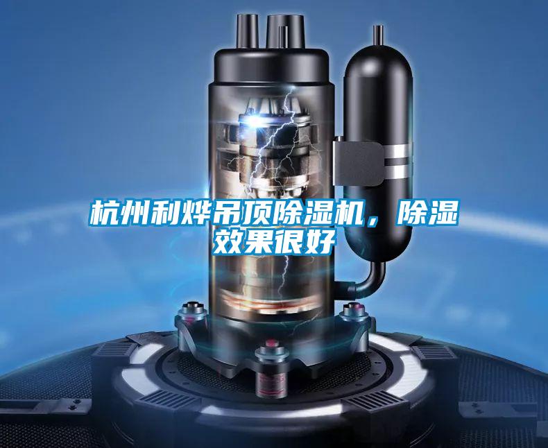 杭州利燁吊頂除濕機，除濕效果很好