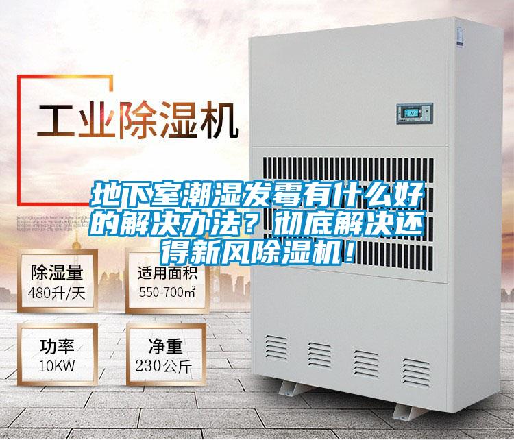 地下室潮濕發(fā)霉有什么好的解決辦法？徹底解決還得新風(fēng)除濕機(jī)！