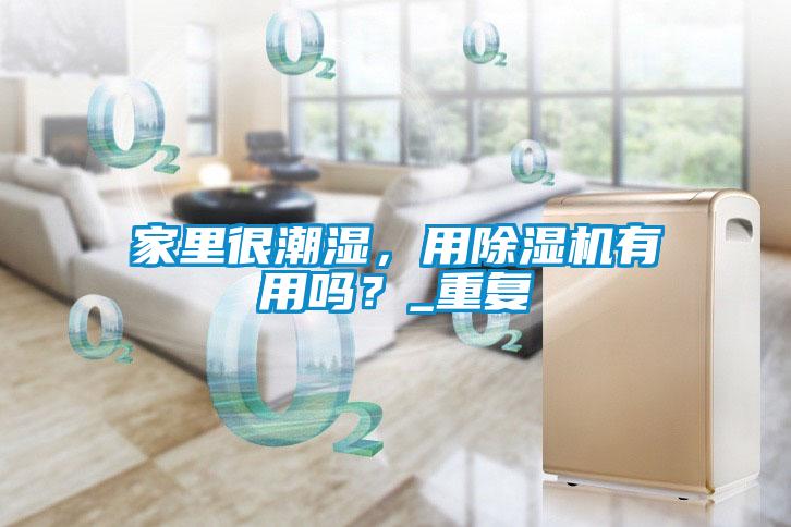 家里很潮濕，用除濕機有用嗎？_重復