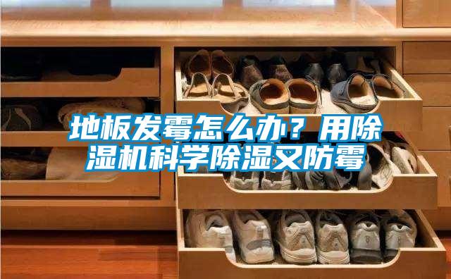 地板發(fā)霉怎么辦？用除濕機科學(xué)除濕又防霉