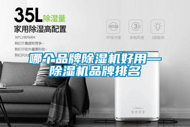 哪個(gè)品牌除濕機(jī)好用—除濕機(jī)品牌排名