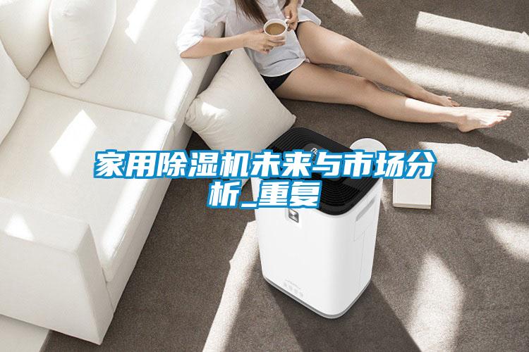 家用除濕機(jī)未來(lái)與市場(chǎng)分析_重復(fù)