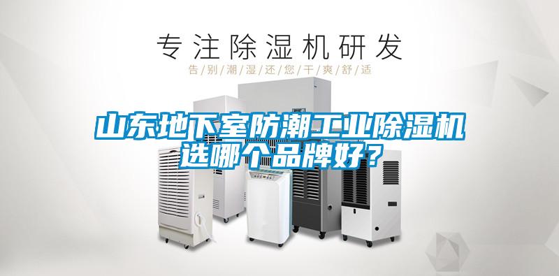 山東地下室防潮工業(yè)除濕機(jī)選哪個(gè)品牌好？