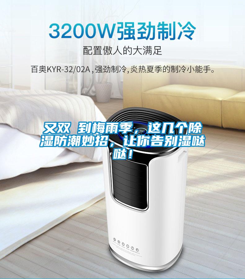 又雙叒到梅雨季，這幾個除濕防潮妙招，讓你告別濕噠噠！
