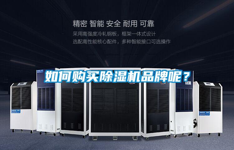 如何購(gòu)買(mǎi)除濕機(jī)品牌呢？