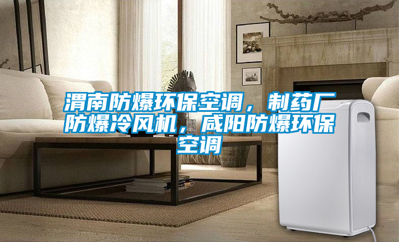 渭南防爆環(huán)?？照{(diào)，制藥廠防爆冷風(fēng)機(jī)，咸陽防爆環(huán)?？照{(diào)