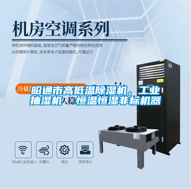昭通市高低溫除濕機(jī)，工業(yè)抽濕機(jī)  恒溫恒濕非標(biāo)機(jī)器