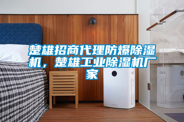 楚雄招商代理防爆除濕機，楚雄工業(yè)除濕機廠家