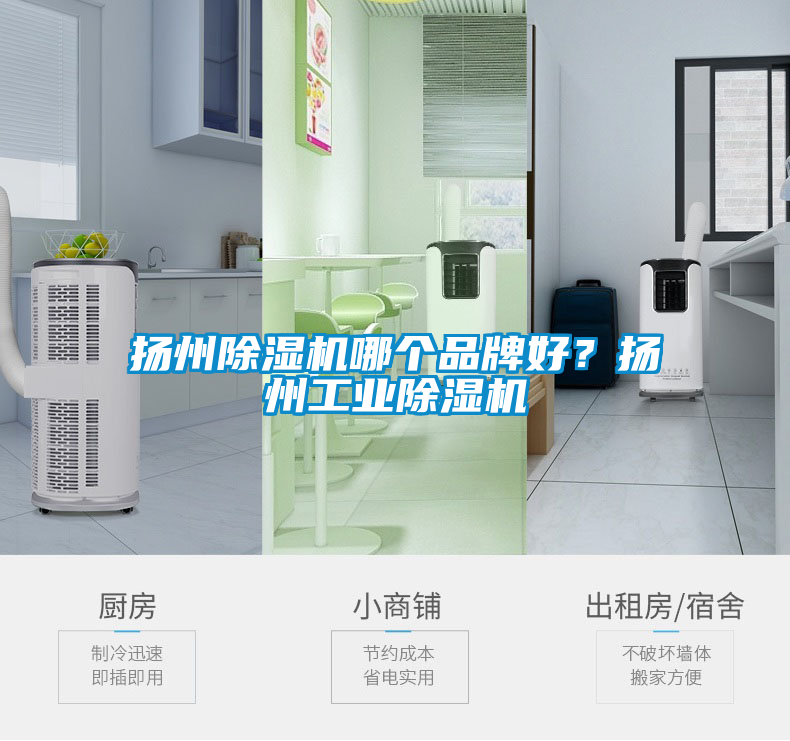 揚州除濕機哪個品牌好？揚州工業(yè)除濕機