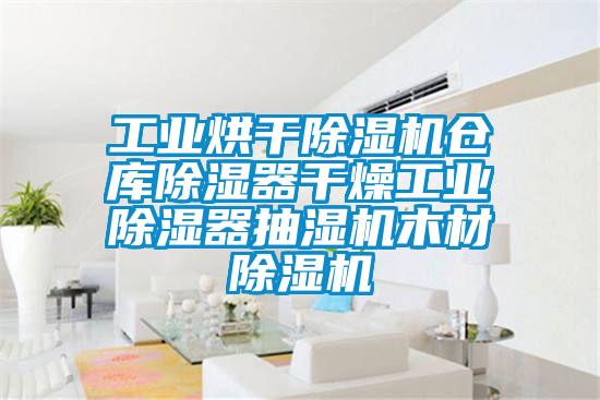 工業(yè)烘干除濕機(jī)倉庫除濕器干燥工業(yè)除濕器抽濕機(jī)木材除濕機(jī)