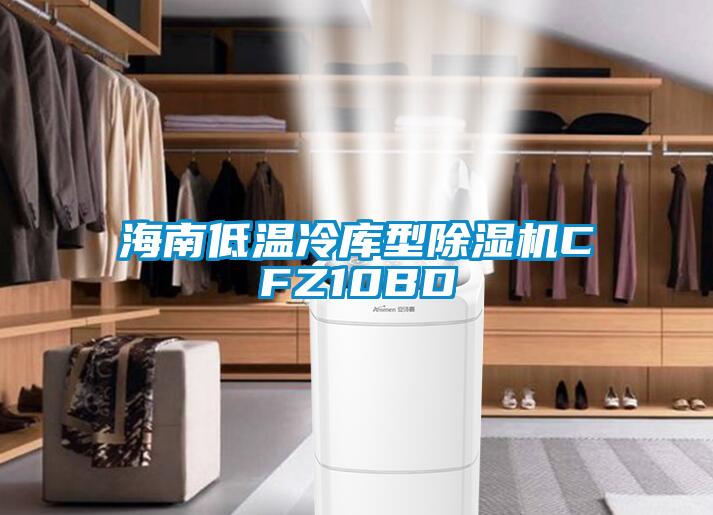 海南低溫冷庫型除濕機(jī)CFZ10BD