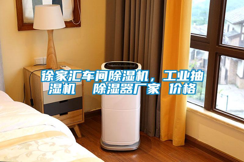 徐家匯車間除濕機，工業(yè)抽濕機  除濕器廠家 價格