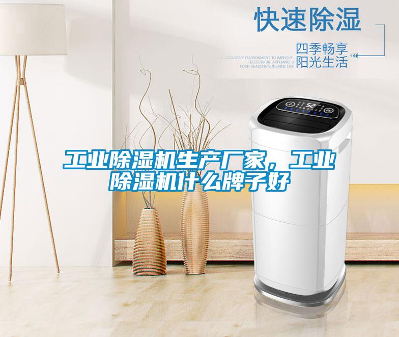 工業(yè)除濕機(jī)生產(chǎn)廠家，工業(yè)除濕機(jī)什么牌子好