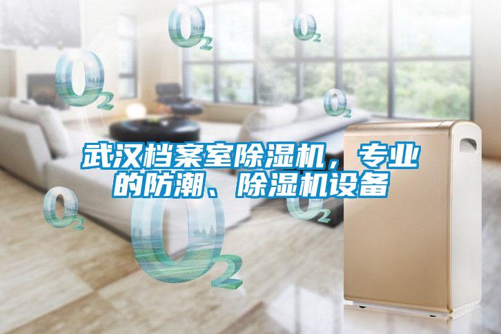 武漢檔案室除濕機(jī)，專業(yè)的防潮、除濕機(jī)設(shè)備