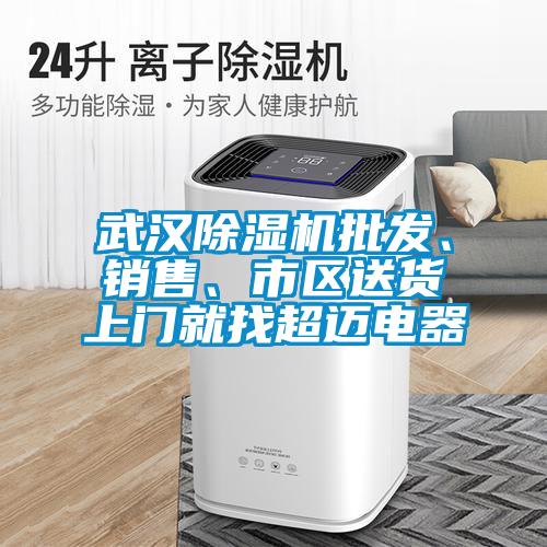 武漢除濕機(jī)批發(fā)、銷售、市區(qū)送貨上門就找超邁電器