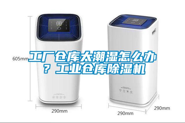 工廠倉庫太潮濕怎么辦？工業(yè)倉庫除濕機